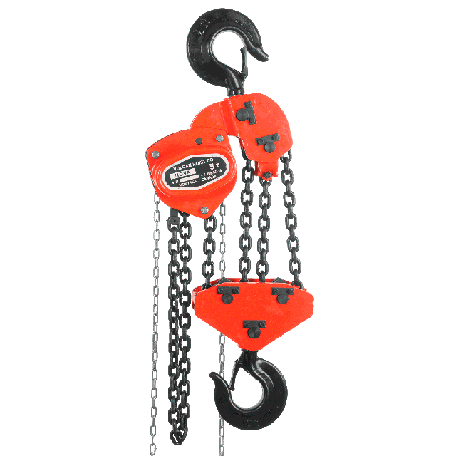 Chain hoist 5 ton 25 ft