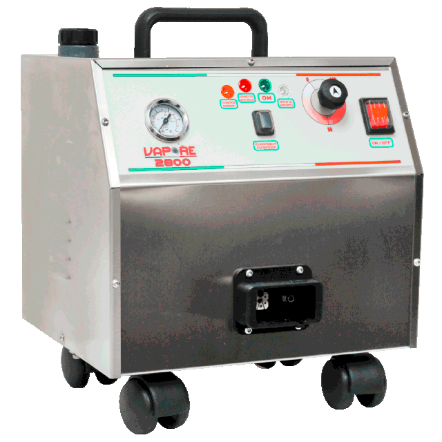 Steam cleaner portable